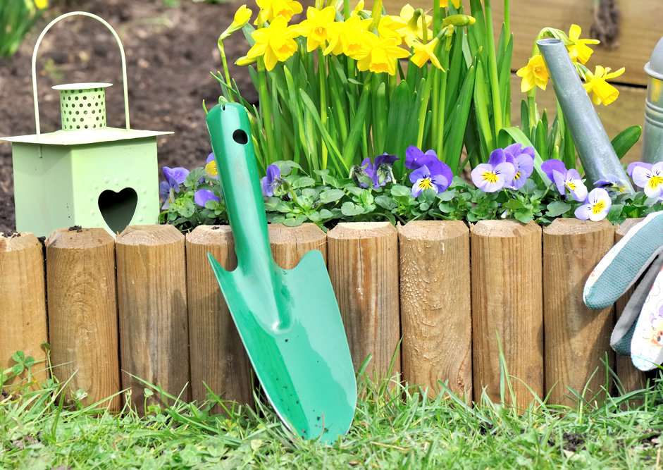 Demi Rondin Pin Autoclave vert