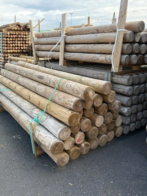 Rondin Pin Autoclave Vert