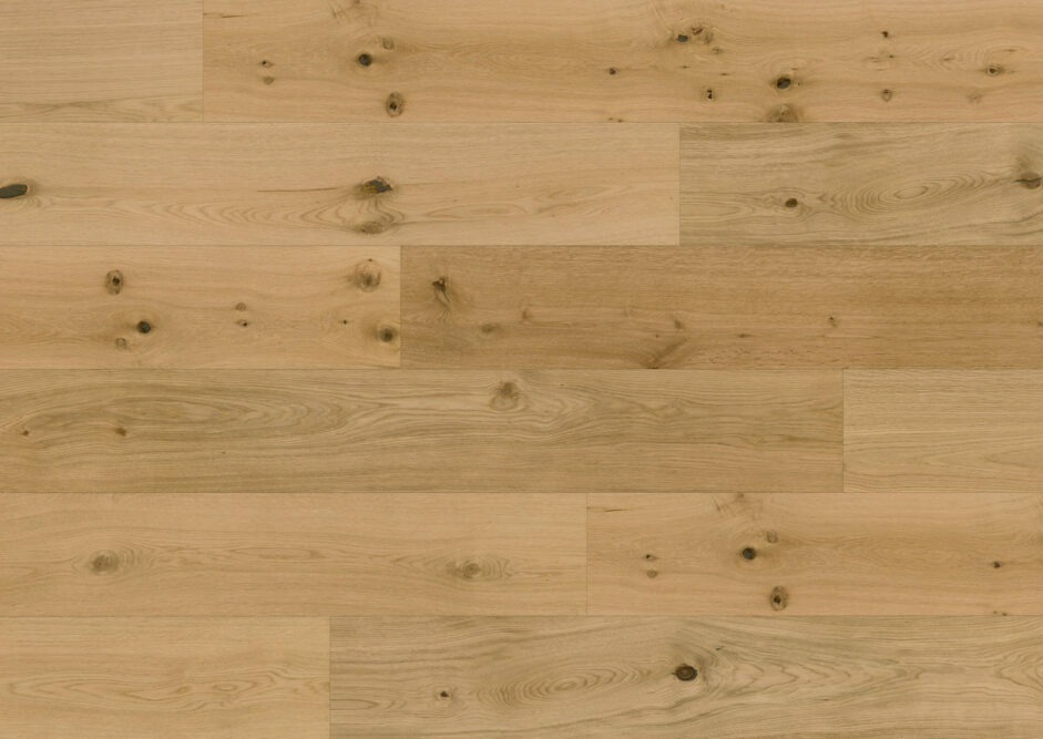 Chêne Wind Cave 233