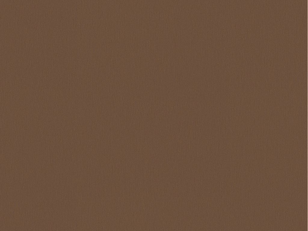 Métal Brossé Bronze F528 ST20