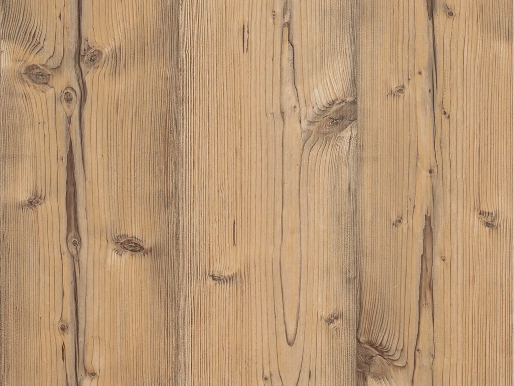 Épicéa de Bramberg H1487 ST22