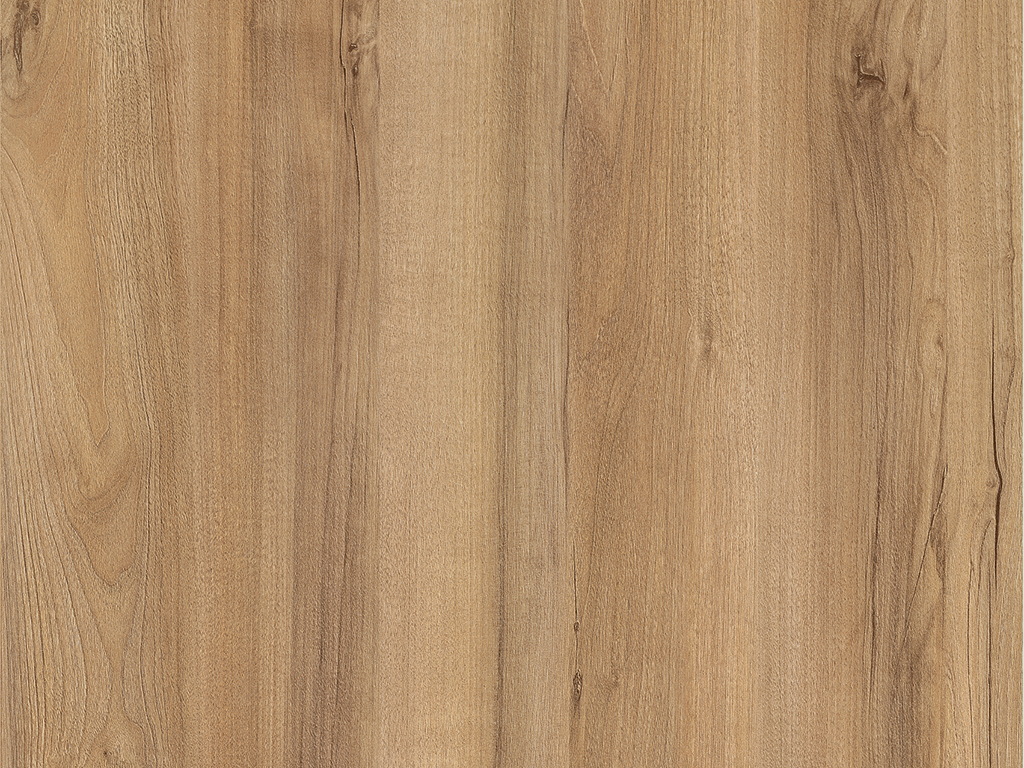 Noyer du Pacifique Naturel H3700 ST10