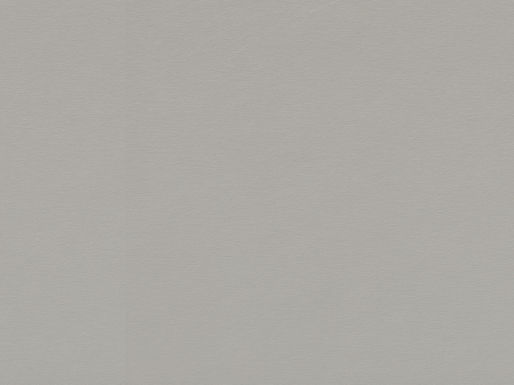Gris Argent Brossé F765 ST20