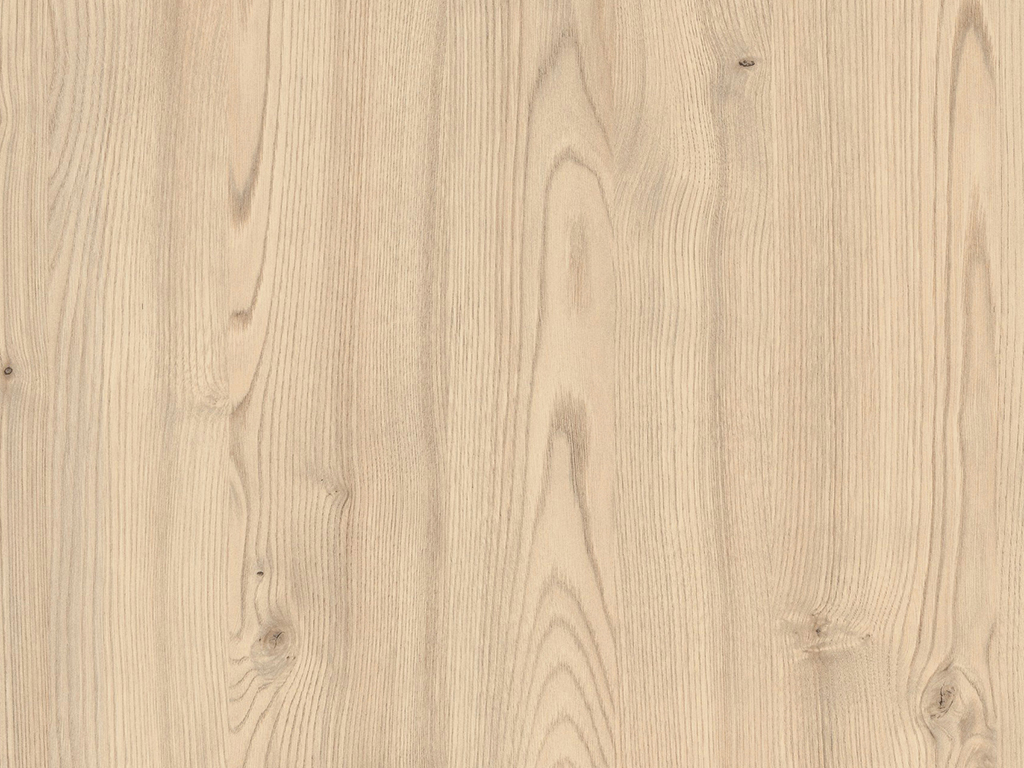 Châtaignier du Kentucky Sable H1710 ST10