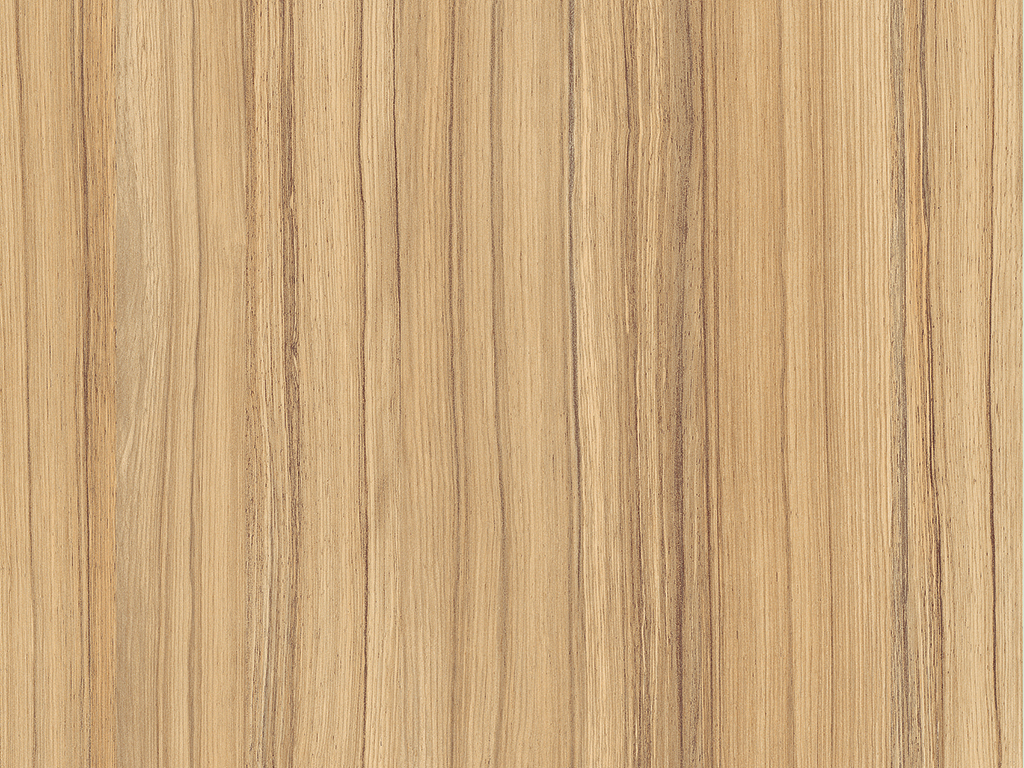 Coco Bolo H3012 ST22