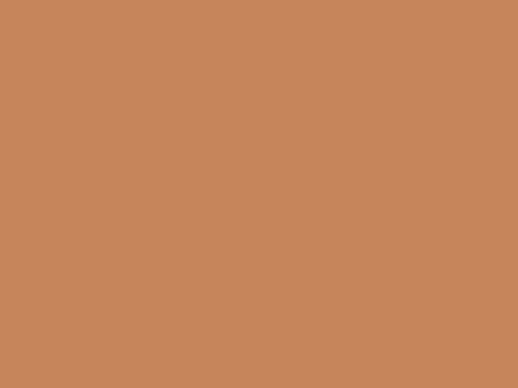 Nude Terracotta U830 ST9