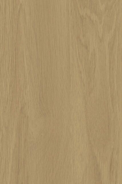 Chêne de Macédoine C003 FA