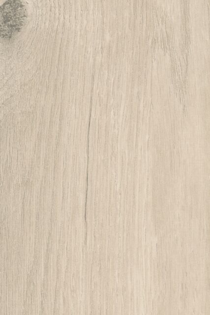 Chêne des massifs C179 ESA