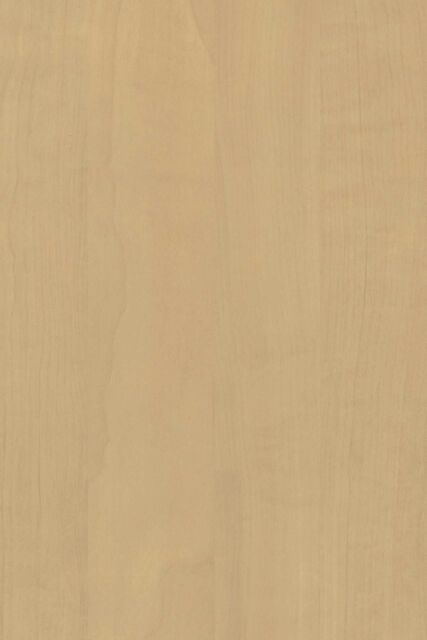 Pommier de Honfleur H025 FA