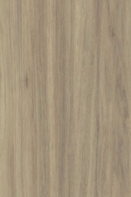 Noisetier Naturel N056 EXM