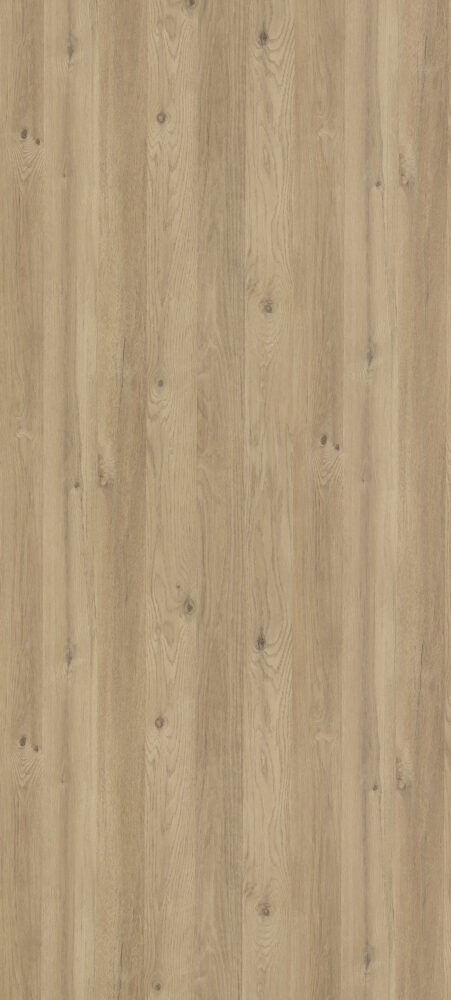 Chêne des Massifs C179