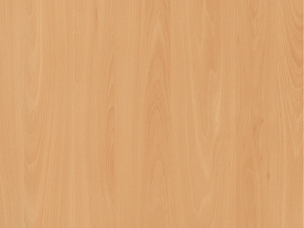 Hêtre du Tyrol H1582 ST15