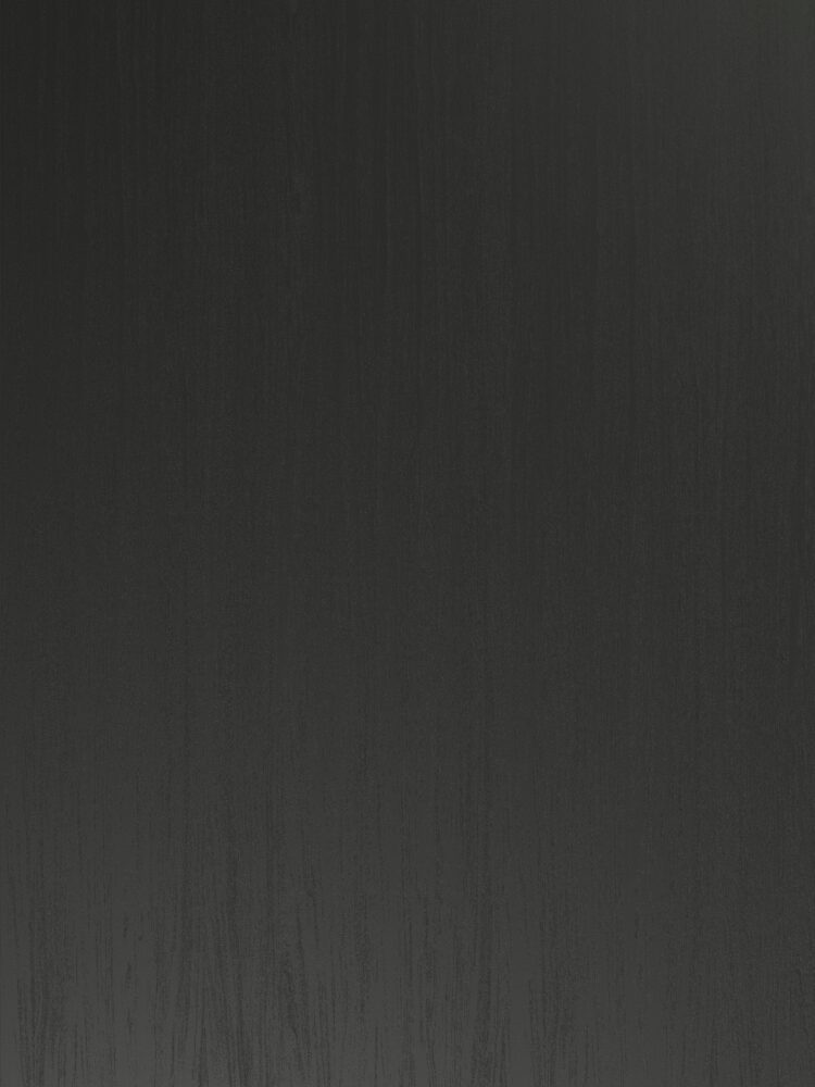 Elegant Black 00113 V2A