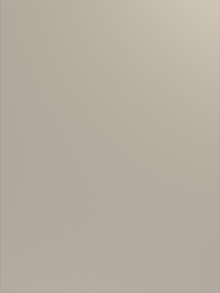 Turtle Grey 0U292 CST