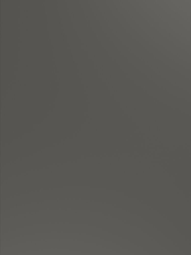 Twilight grey 0U824 CST