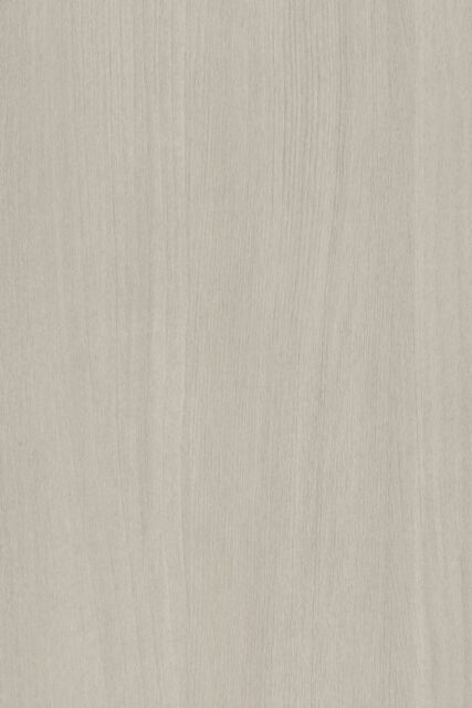 Bouleau Argenté B131 EXM