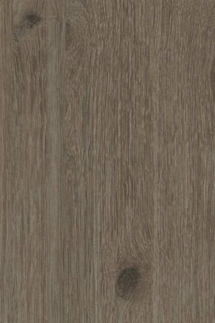 Chêne des Marais C132 SEV