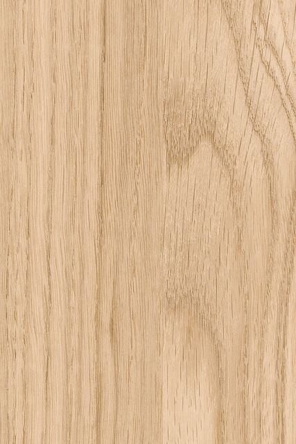 Chêne Adrian C182 ESA