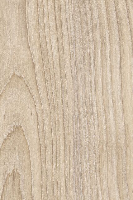 Cerisier des Cariatides C184 EPM