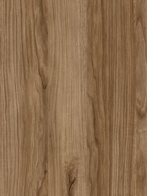 Chêne des Alpilles C205 ESS