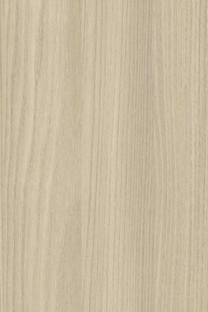 Ormes des Flandres O081 EXM